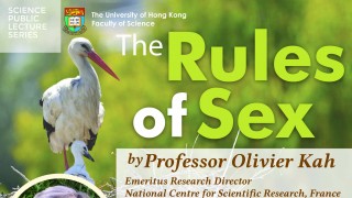 Public Lecture: The Rules of Sex