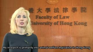 HK Seeks to Update Animal Welfare Laws