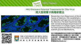 HKU Discovers Potential Treatments for Zika Virus