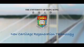 Knowledge Exchange Video: New Cartilage Regeneration Technology