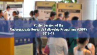 Poster Session of the Undergraduate Research Fellowship Programme 2016-17