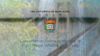 Conservation Forensics Helping to Fight Illegal Wildlife Trafficking