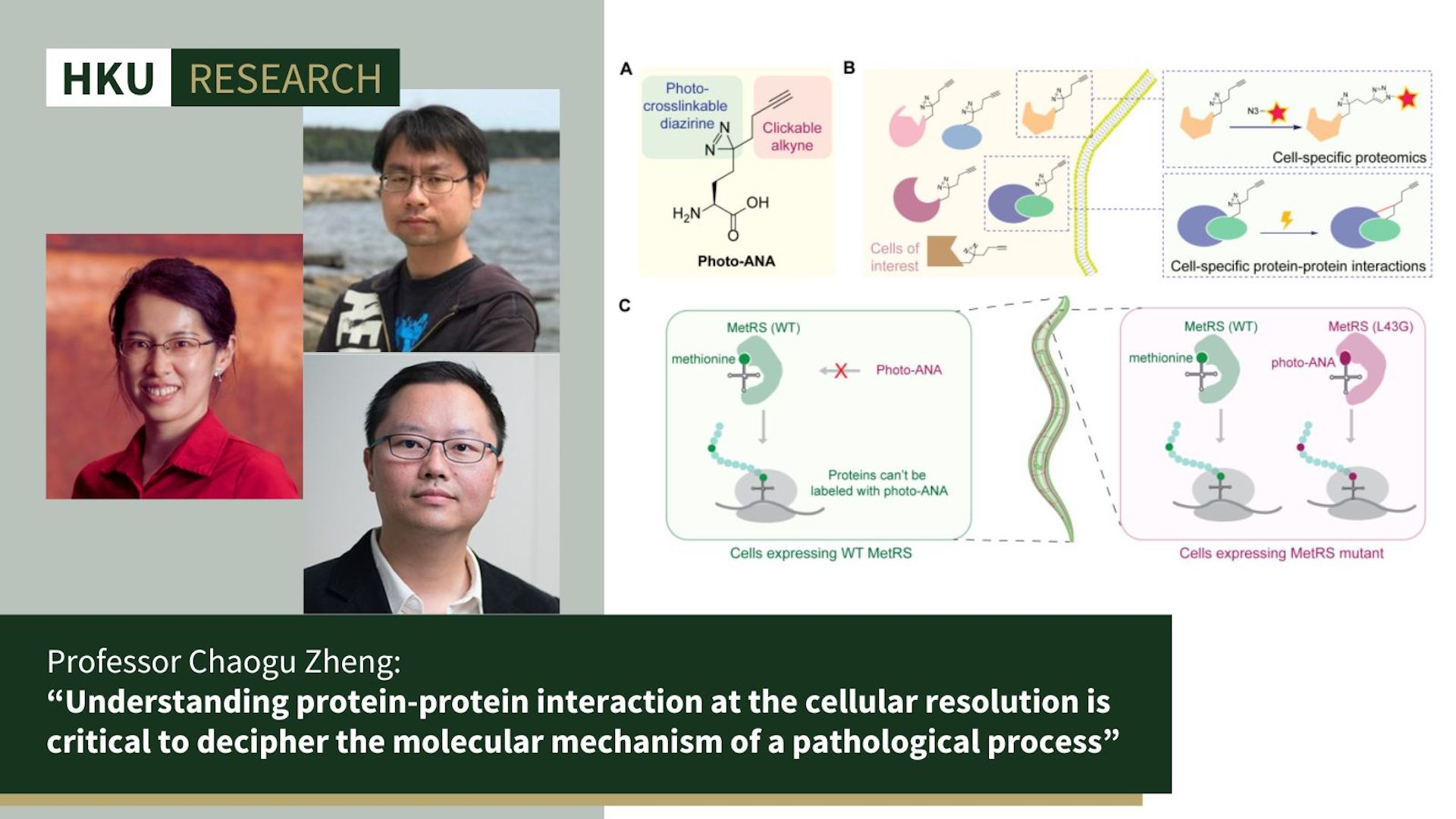 HKU Research 20240523