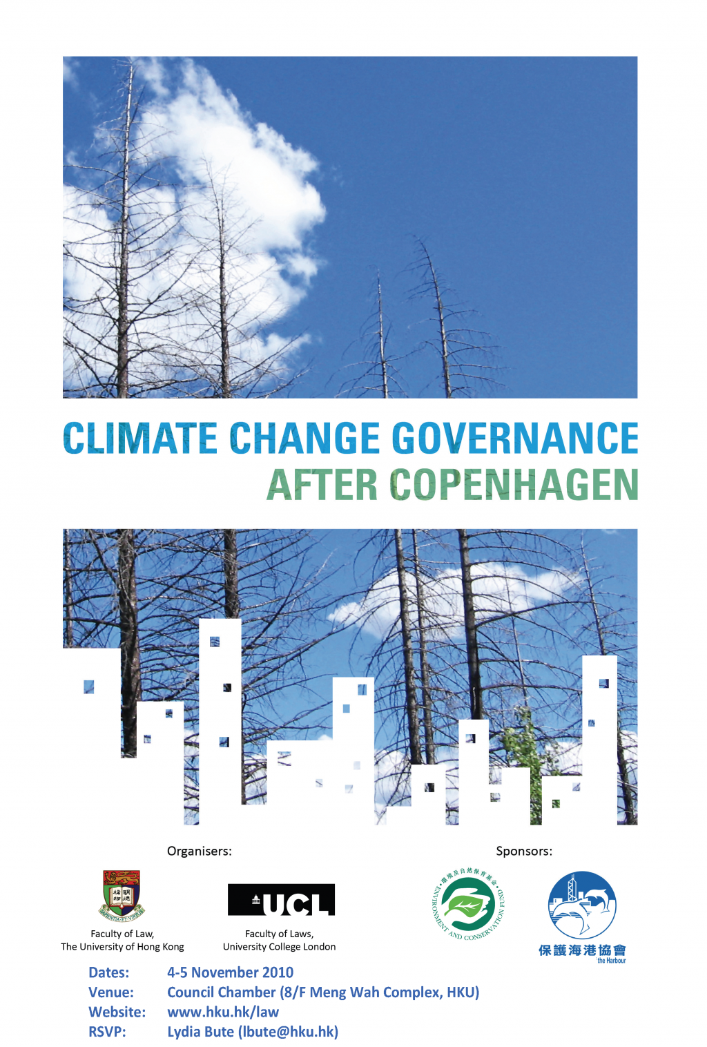 Climate Change Governance after Copenhagen 