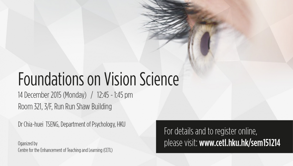 Foundations on Vision Science