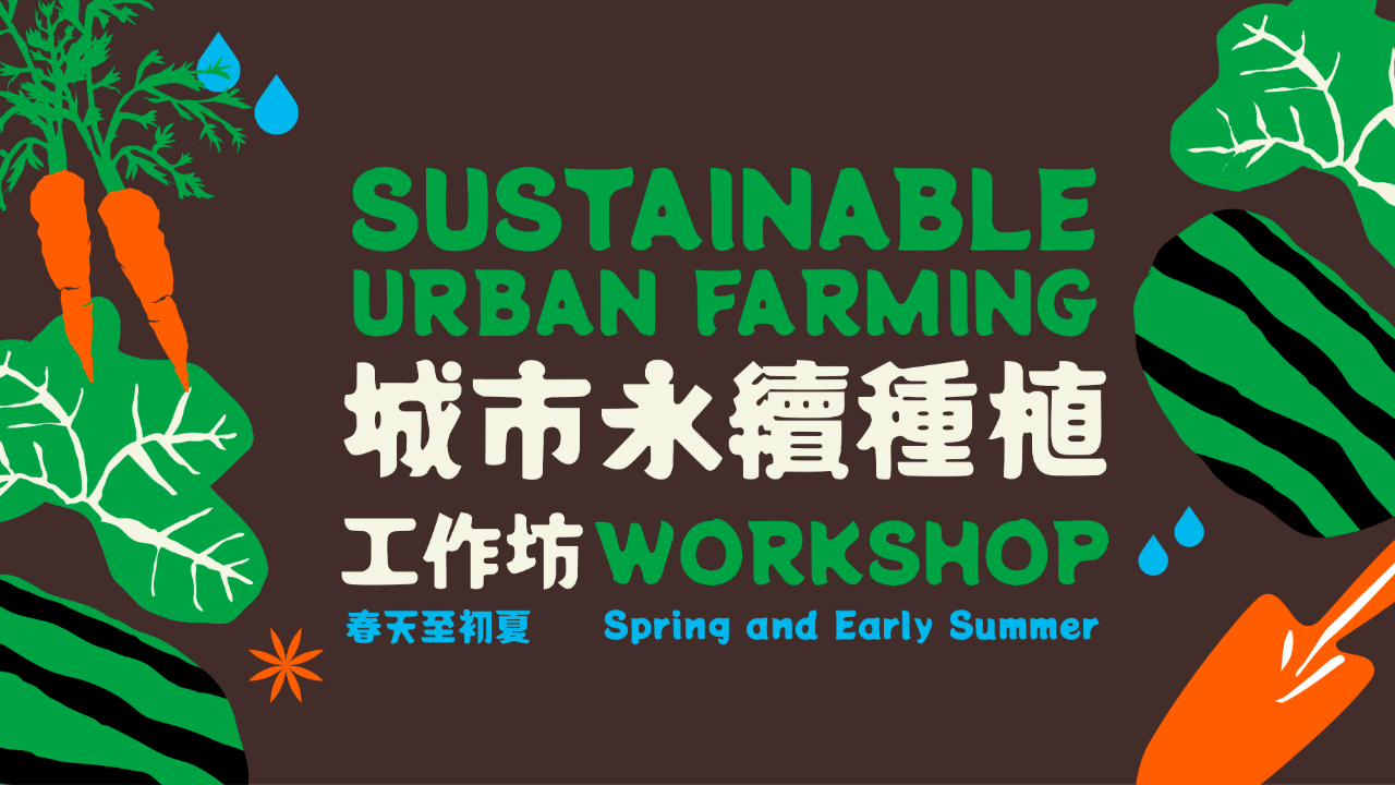 Sustainable Urban Farming Workshop&hellip;