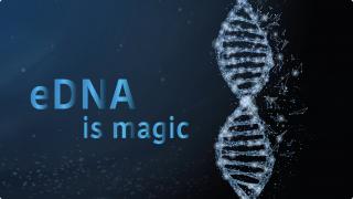 eDNA - it's like a magic