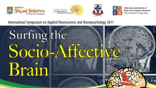 ISANN 2011: Surfing the Socio-Affective Brain