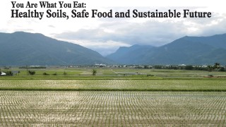 You Are What You Eat: Healthy Soils, Safe Food and Sustainable Future