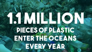 Clean up our Ocean! CCST9023