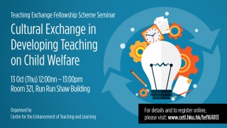 Teaching Exchange Fellowship Scheme Seminar - Cultural Exchange in Developing Teaching on Child Welfare