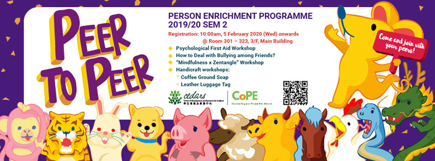 Person Enrichment Programme 2019/20 Sem 2 - Peer to Peer