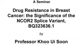 Seminar by Prof US Khoo on 19 Nov (1 pm)