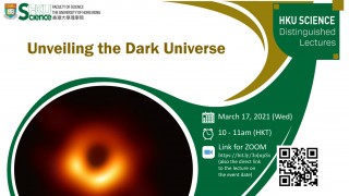 Distinguished Lecture Series - Unveiling the Dark Universe