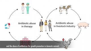 HKU01x Epidemics Sneak Preview: Origins of Infectious Diseases