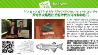 Hong Kong's first identified dinosaur-era vertebrate