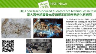 HKU's Department of Earth Sciences: new laser-induced fluorescence techniques uncover never-before-seen details in fossils