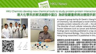 HKU Chemists develop new chemical tools to study protein-protein interactions in living cells