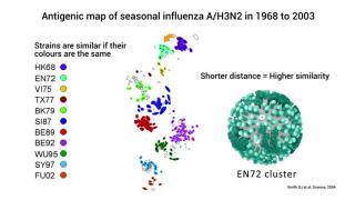 Epidemics - Influenza vaccines