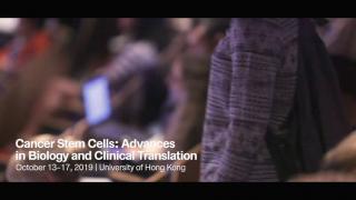 Keystone Symposium 2019 - Cancer Stem Cells: Advances in Biology and Clinical Translation (T2)