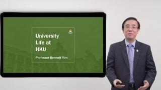 HKU Undergraduate Studies Explained