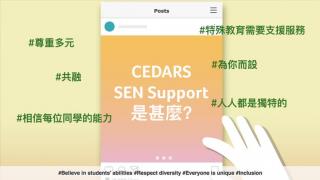 CEDARS CoPE - SEN Support