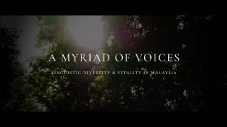 A Myriad of Voices