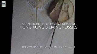 Stephen Hui Geological Museum - Special Exhibition 