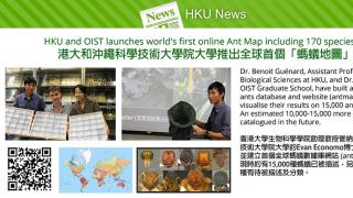 HKU and OIST launches world's first online Ant Map including 170 species from HK