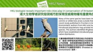 HKU biologist reveals important role cities play in conservation of threatened species