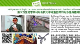 HKU palaeontologist reconstructs feathered dinosaurs in the flesh with new technology